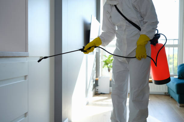 Best Post-Flood Mold Remediation in The Crossings, FL